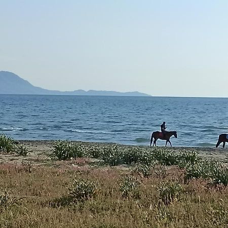 شقة Pozzuoli-Licola Mare المظهر الخارجي الصورة
